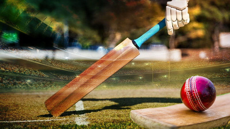 Light Weight Cricket Helmet