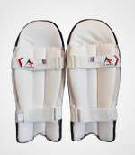 Wicket Keeping Pads Player Edition - Image 3