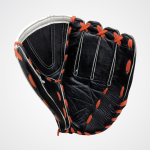 Catcher’s Mitt Elite Edition