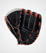 Catcher’s Mitt Elite Edition