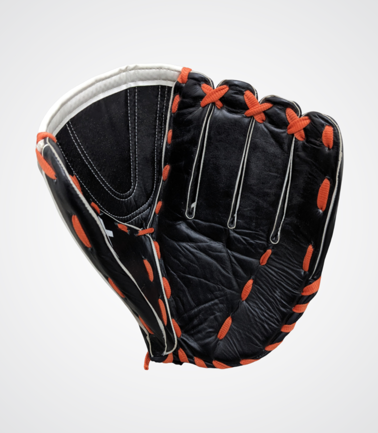 Catcher’s Mitt Elite Edition