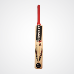 Lite Plus Professional Cricket Bat