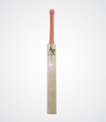Technic Training Bat (Middling Bat) - Image 2