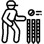 Cricket Ball WK Equipment