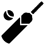 Non-Wood Cricket Bat