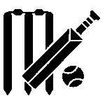 Tennis Ball Cricket Equipment